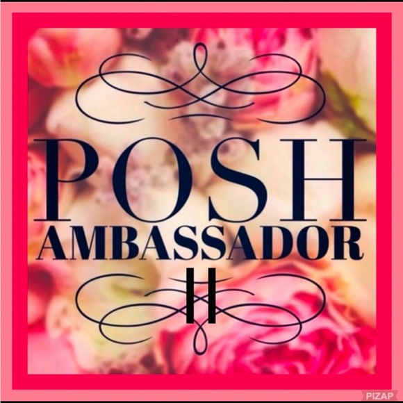 Brick-Red Dressy Girls Dress W/Short Sleeves Ruffles Zipper & Tie Back ~ Sz 4 - Picture 10 of 11